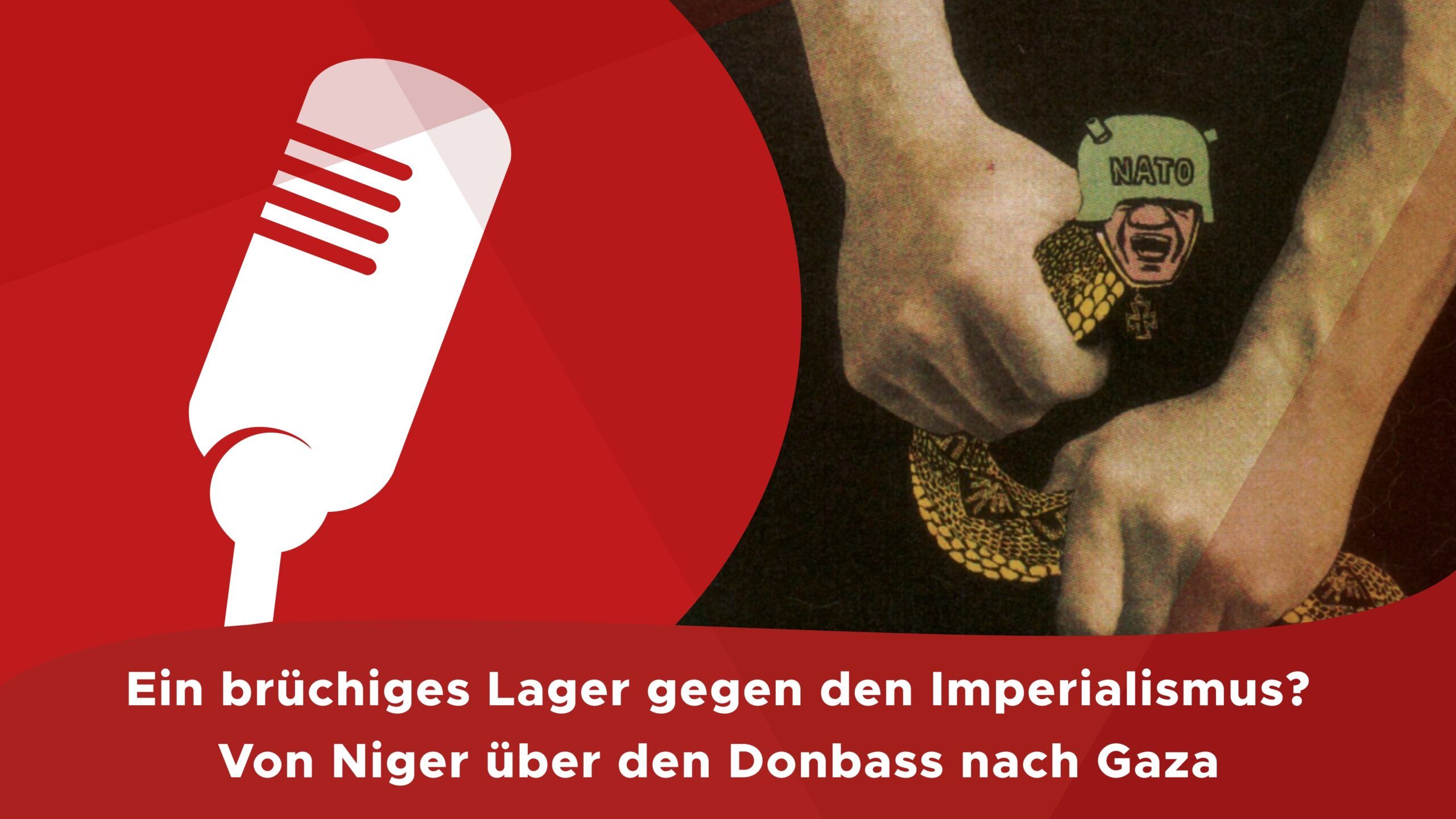 Ein brüchiges Lager gegen den Imperialismus? – Von Niger über den Donbass nach Gaza!